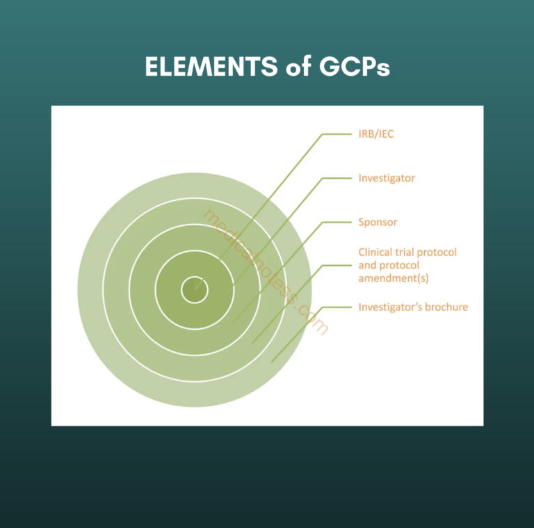 Screenshot 2024-12-10 at 1.29.13 PM